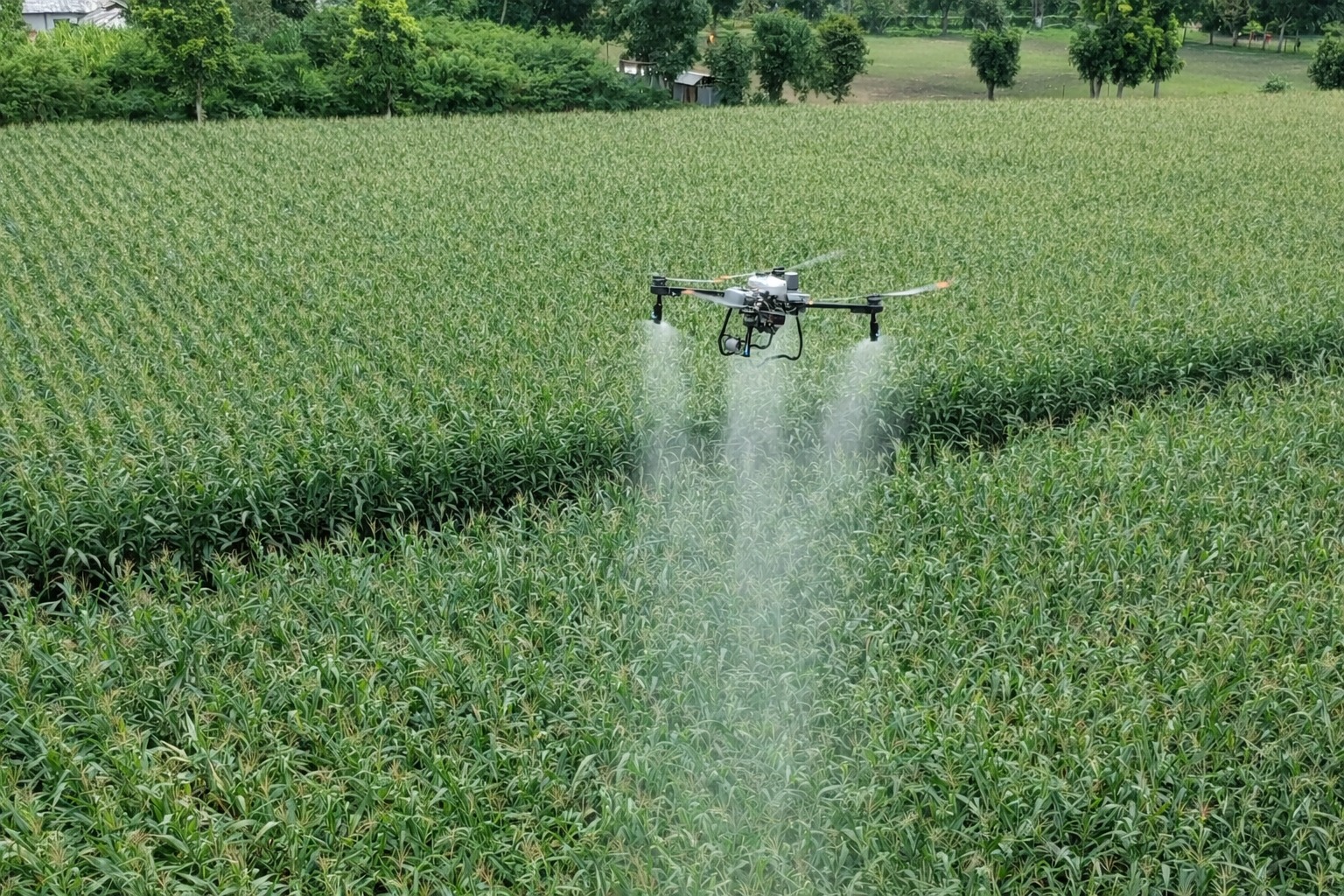 Meningkatkan Produktivitas Panen