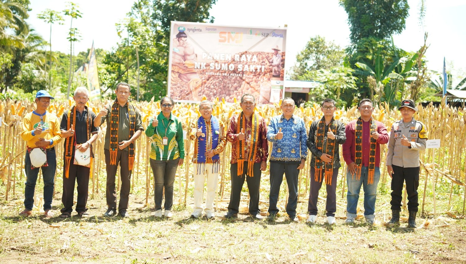 Panen Raya