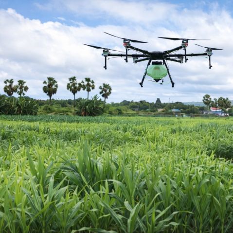 Pengembangan Pertanian Berkelanjutan