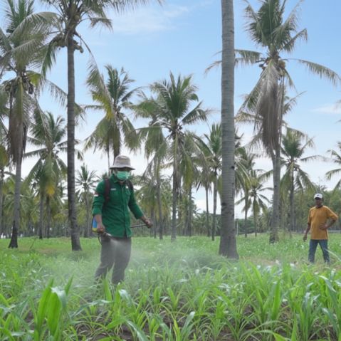Pendampingan Pertanian yang Efektif
